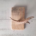 SOLD - Deer Antler Wall Hook / Storage Hook