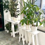 Reclaimed Wooden Trestle Desk