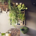 Rustic Industrial Pallet Shelves