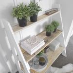 Market Ladder Shelves