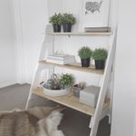 Market Ladder Shelves