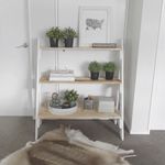 Market Ladder Shelves