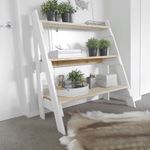 Market Ladder Shelves