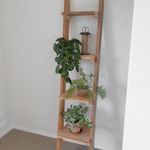 Reclaimed Timber Leaning Shelves