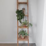 Reclaimed Timber Leaning Shelves