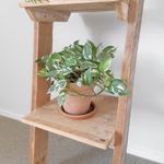 Reclaimed Timber Leaning Shelves