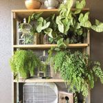 Rustic Industrial Pallet Shelves