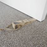 Salvaged Timber Door Wedge