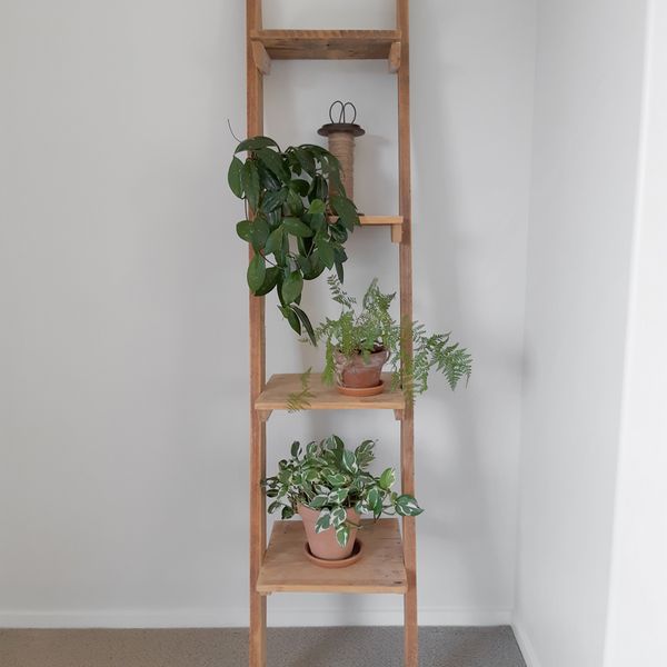 Reclaimed Timber Leaning Shelves